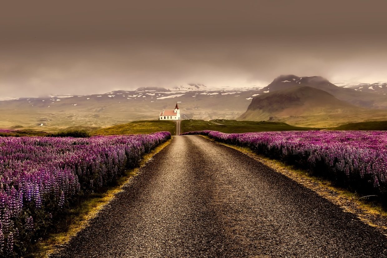Iceland with road, church, flowers
